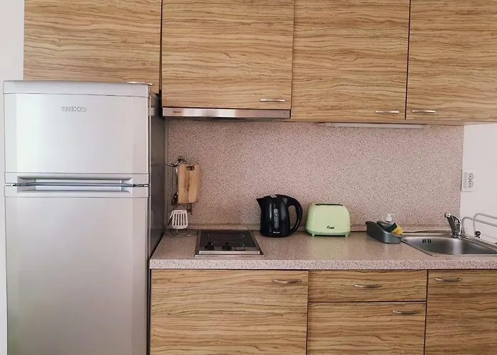 Guest Salena Aparthotel 3*