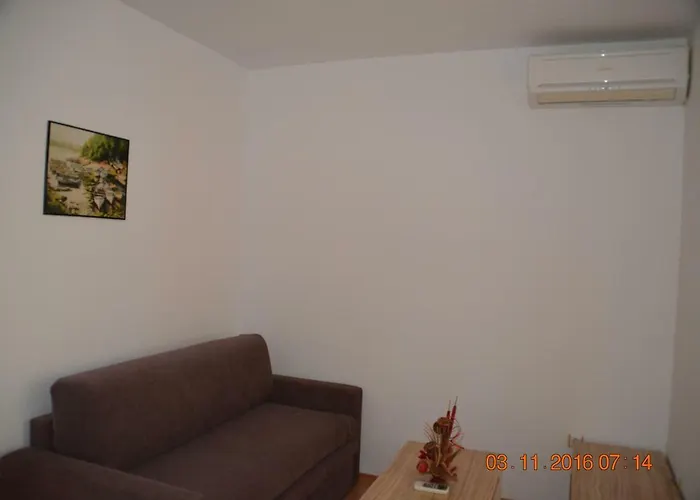 Guest Salena Slăntjev Brjag