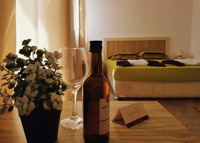 Aparthotel Guest Salena