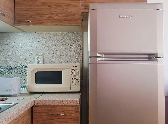 Guest Salena 써니비치